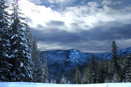 Snow Winter Landscape