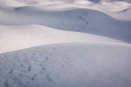 Fresh Snow Texture