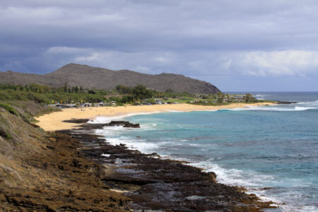 Tropical Coast Beach