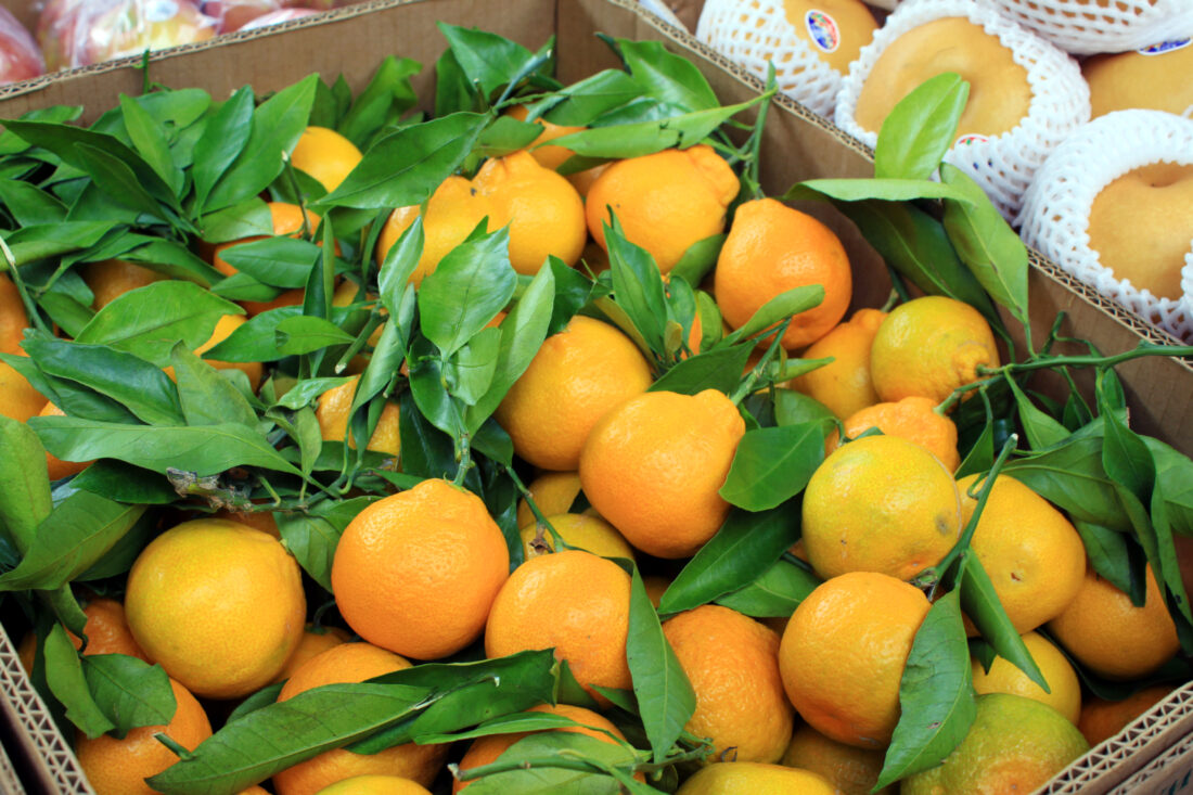 Free stock image of Box Orange Market