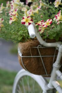 Flower Basket Bicycle
