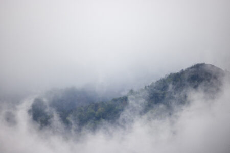 Foggy Mountains Nature