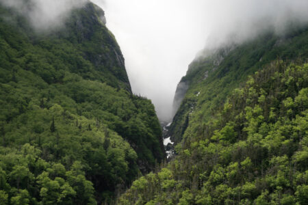 Foggy Mountain Landscape