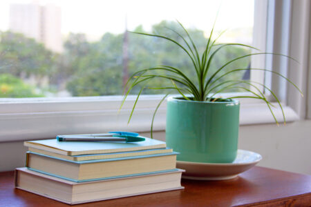 Books Interior Home