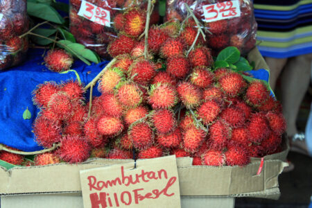 Rambutan Food Market