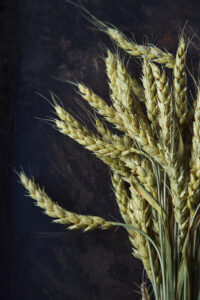 Light Wheat Background