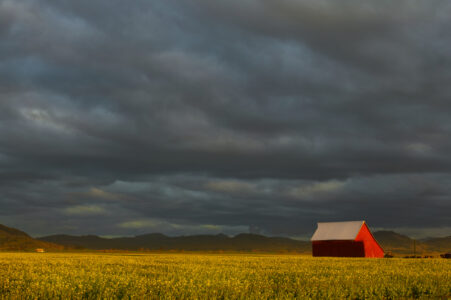 Old Barn Farm