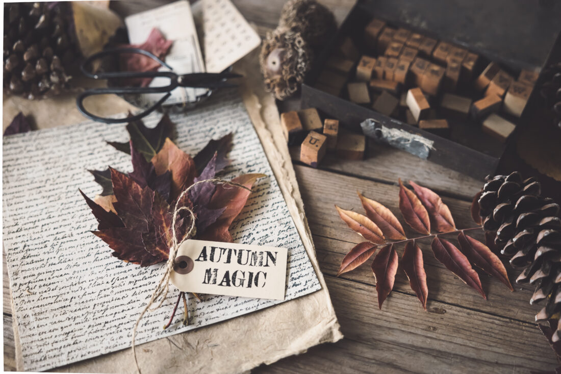 Free stock image of Fall Autumn Flatlay