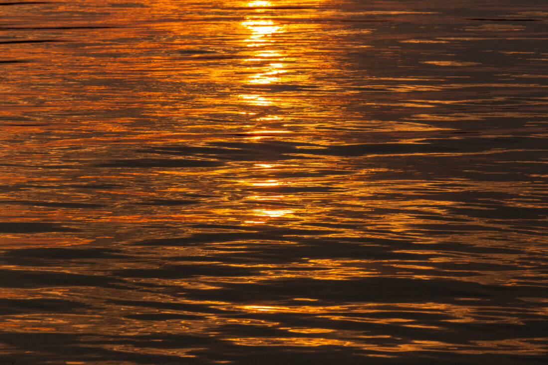 Free stock image of Summer Water Reflections